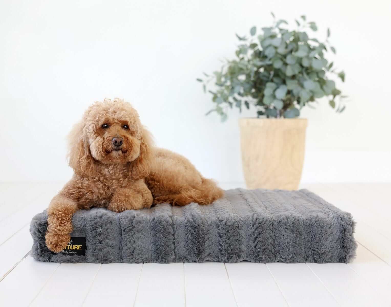 Charcoal Plume Pet Crate Pad COVER ONLY - Image 2